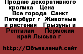 Продаю декоративного кролика › Цена ­ 500 - Все города, Санкт-Петербург г. Животные и растения » Грызуны и Рептилии   . Пермский край,Лысьва г.